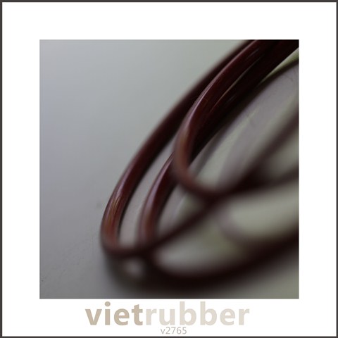 Gasket làm kín bằng cao su nhựa/ Vietrubber Company